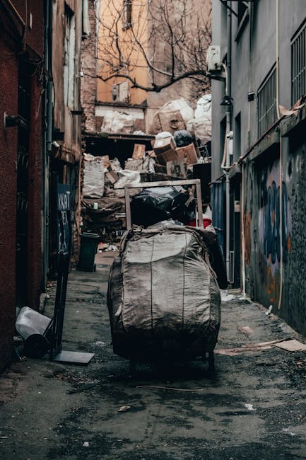 https://rubbishclearancekennington.org.uk/blog/compare-kennington-rubbish-clearance-quotes-fast-online/